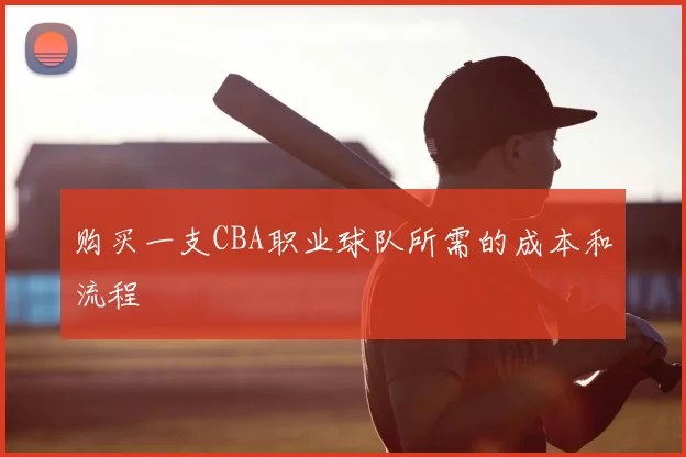 购买一支CBA职业球队所需的成本和流程